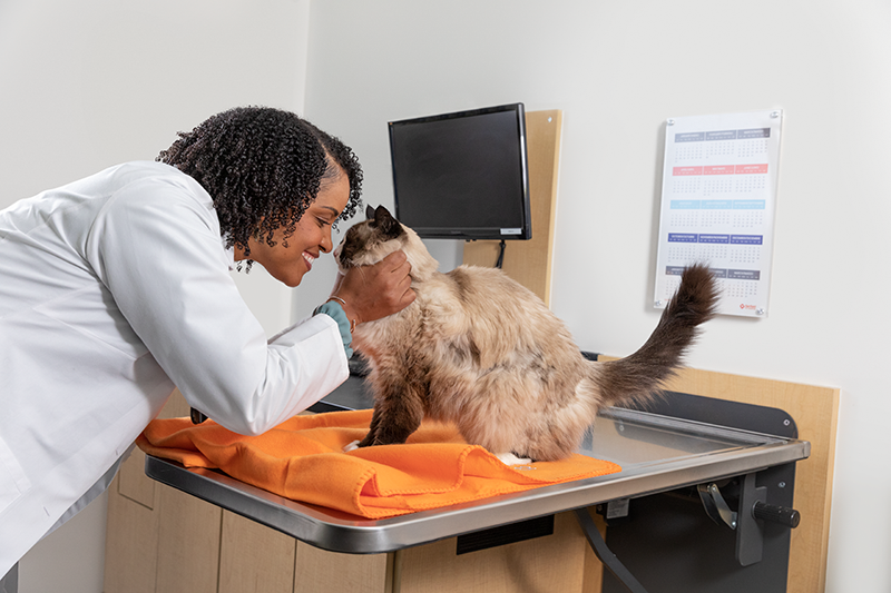 Banfield the Pet Hospital photo 1