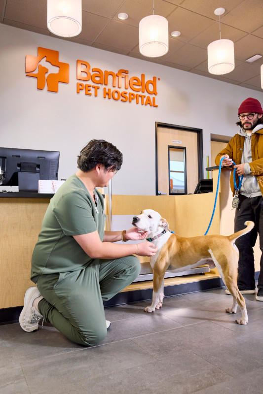 Banfield the Pet Hospital photo 2