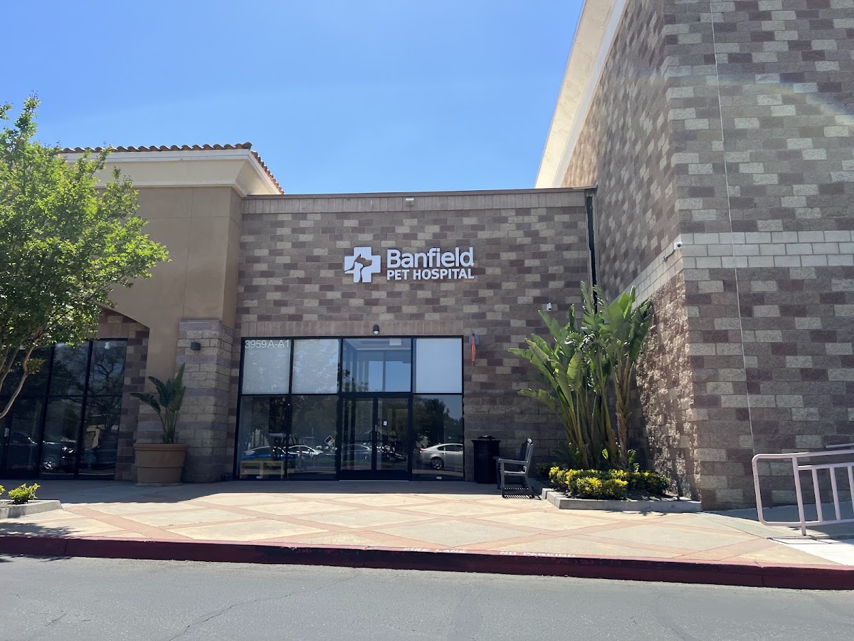 Banfield the Pet Hospital photo 3