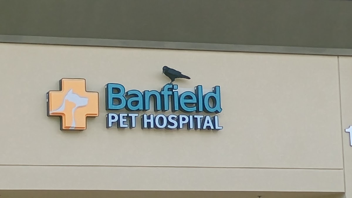 Banfield the Pet Hospital photo 4