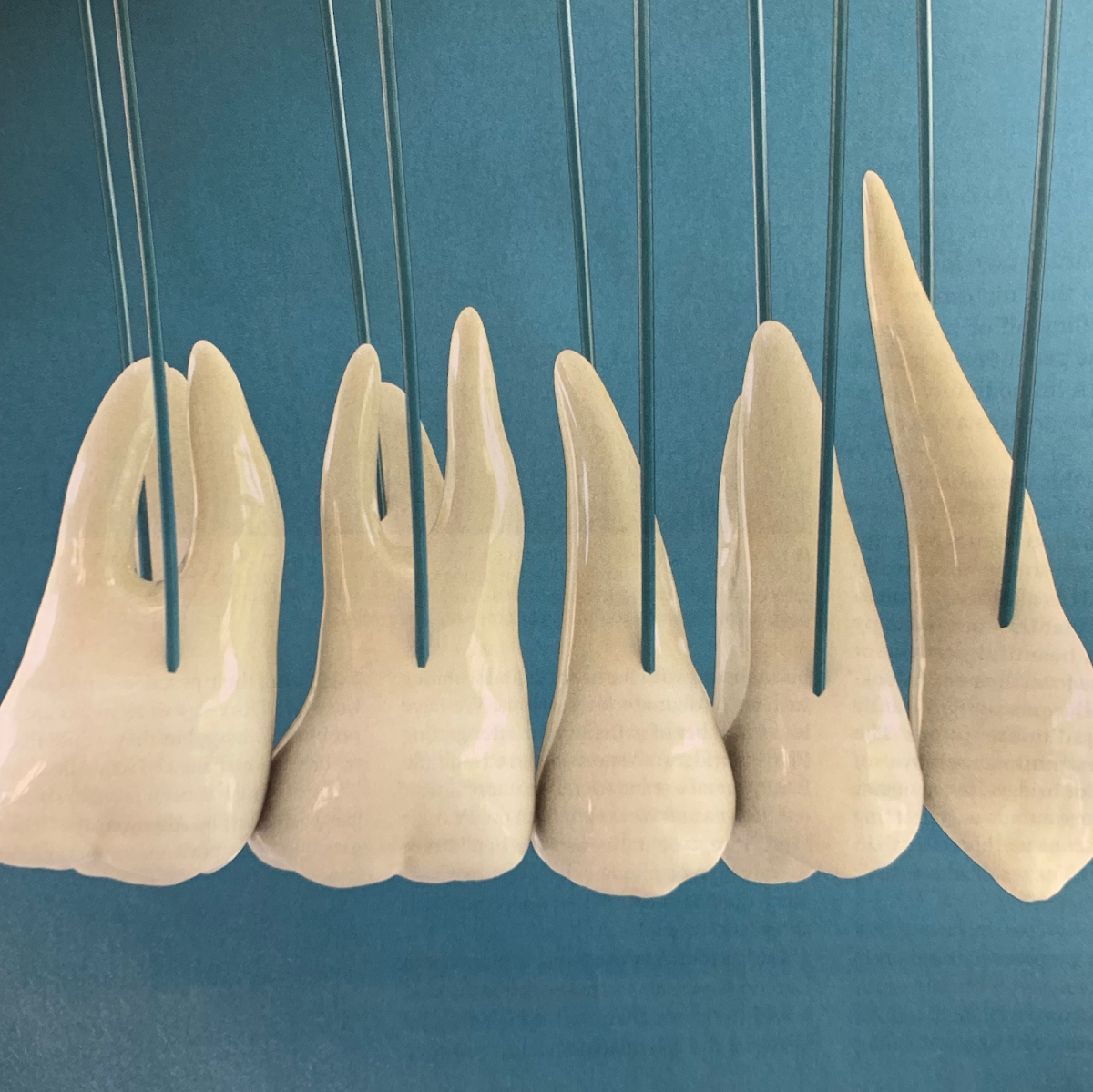 Peyton Dental photo 4